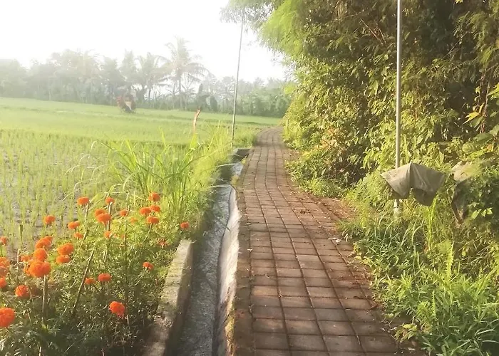 Pondok Tropical 3 Bed & Breakfast Ubud