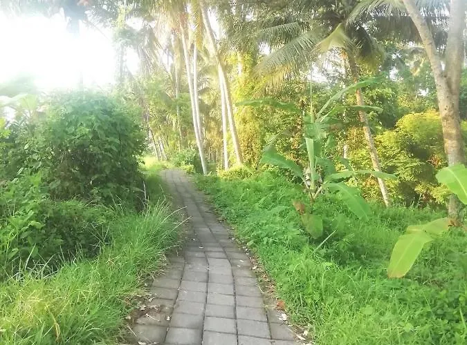 Pondok Tropical 3 2*