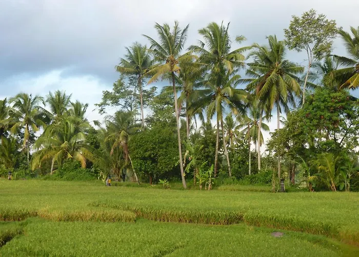 Bed & Breakfast Pondok Tropical 3 Ubud