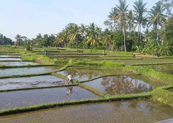 Pondok Tropical 3 Bed & Breakfast Ubud