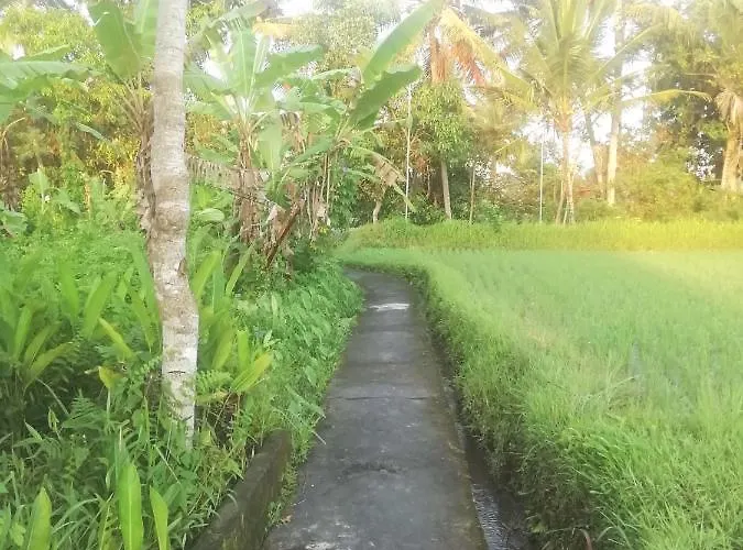 Pondok Tropical 3 Bed & Breakfast