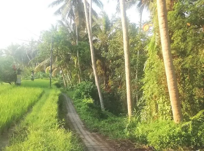 Pondok Tropical 3 2*