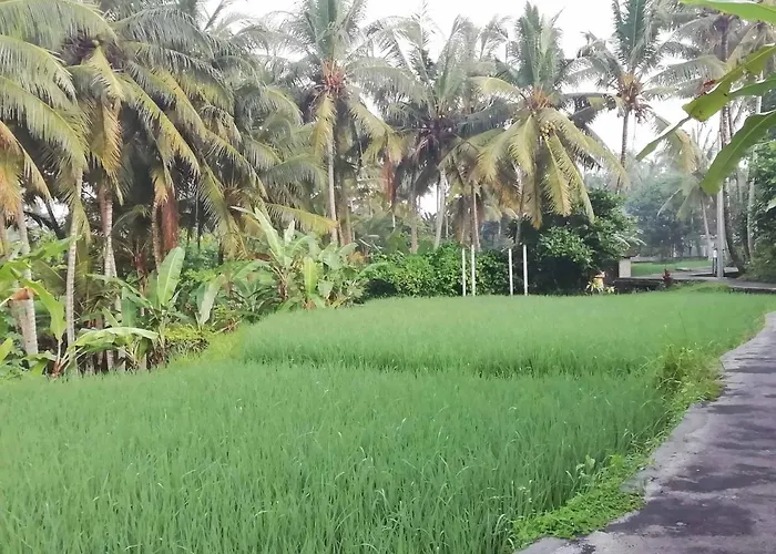 Bed & Breakfast Pondok Tropical 3